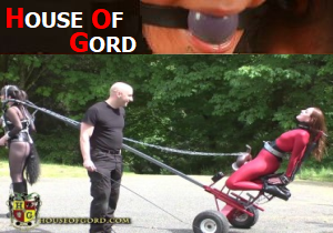 House Of Gord